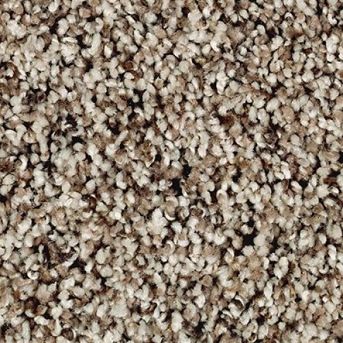 Softly Elegant I Autumn Ash Carpet