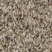 Softly Elegant I Autumn Ash Carpet